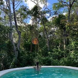 *** Bed & Breakfast Casa Tzalam Selva Mexico